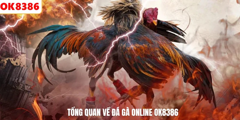 Cược Đá Gà Online Là Gì? Khám Phá Giải Trí Tại OK8386 2 Tổng quan về đá gà Online OK8386